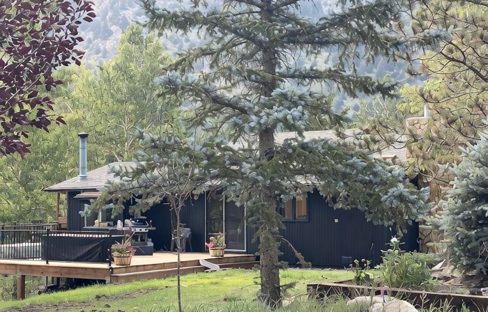 Large house in the mountains, (pre-approved dogs welcome