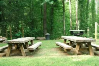 Renew & Relax in Tranquil & Comfortable Log Cabin - Chalets