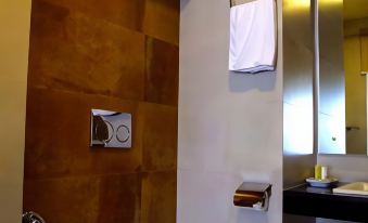 a bathroom with a toilet , sink , and mirror , as well as towels hanging on the wall at Hotel City Park