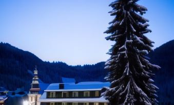 a large tree stands in the foreground of a snow - covered town with buildings and mountains in the background at Hotel Christiania