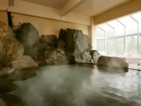 Fuji Ginkei Hotels in Fujikawaguchiko