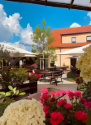 란트가스트호프 쯔어 소네 딜링겐안더도나우 호텔