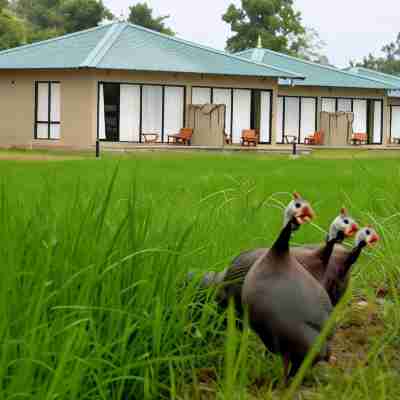 Sigiriya King's Resort Hotel Exterior