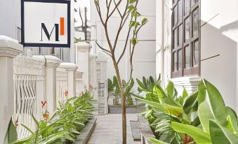 M Village Living Cuu Long