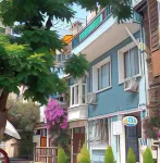 Buyukada Cinar Hotel 뷔위카다 호텔