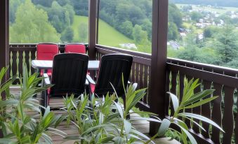Cozy Apartment in Ore Mountains with Balcony