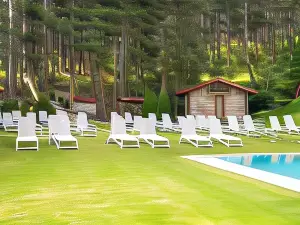 Kashmir Wellness & Spa Hotel Adults Only