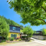 Wonju Genie's Camp Pension Hotels in Wonju