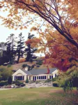 The Shan's Lodge Hotel di Gibbston