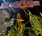 Babu Naidu Residency