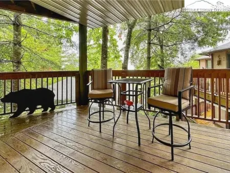 Chantilly Ice Lace Cabin