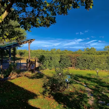 Carpine Agriturismo Bio in Maremma
