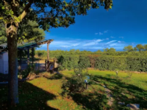 Carpine Agriturismo Bio in Maremma