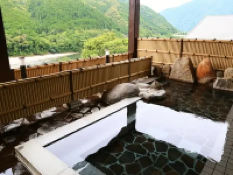 이루카 온센 호텔 세이류우소우 구마노 호텔