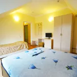 Pushkin Hotel - 2星級