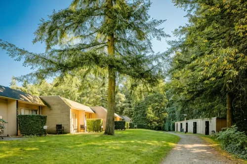 Fletcher Hotel-Restaurant Mooi Veluwe Hotels in Putten