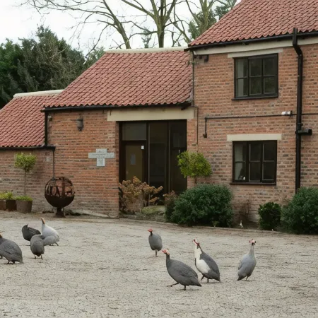 Brickfields Farm