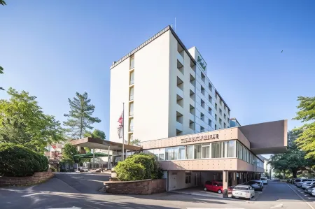 Best Western Plus Hotel Steinsgarten