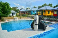 Rock and Wreck Dive Resort - Beach