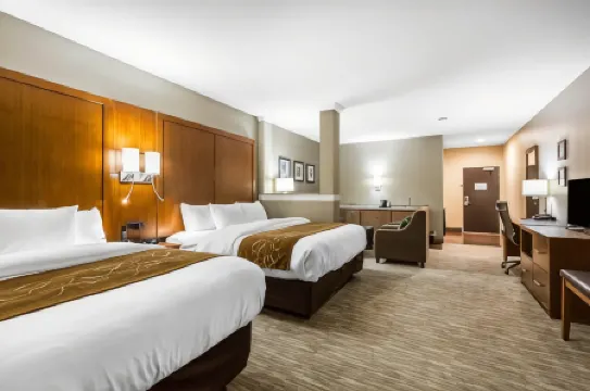 Comfort Suites - University