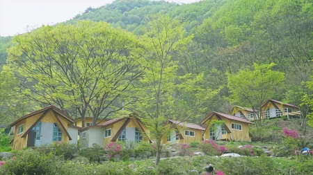 Wanju Yewon Camping Site