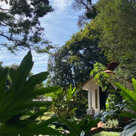 Orquideas Hotel & Cabañas
