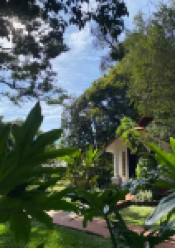 Orquideas Hotel & Cabañas Các khách sạn ở 