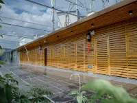 Quanzhou Dehua Yixuan Crossing Hotel (Cidu Avenue Branch) Hotels in Dehua