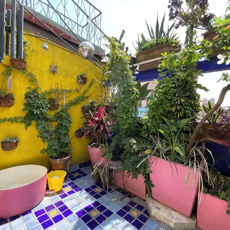 Sustainable 3 Bedroom Home - Casa Vecindad Murales