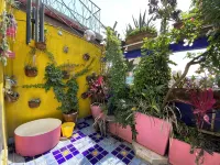 Sustainable 3 Bedroom Home - Casa Vecindad Murales