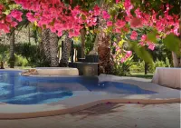 Hotel la Plantación - Pools