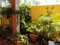 4-bedroom house in brilliant La Hachadura with WiFi, AC Hotels in 