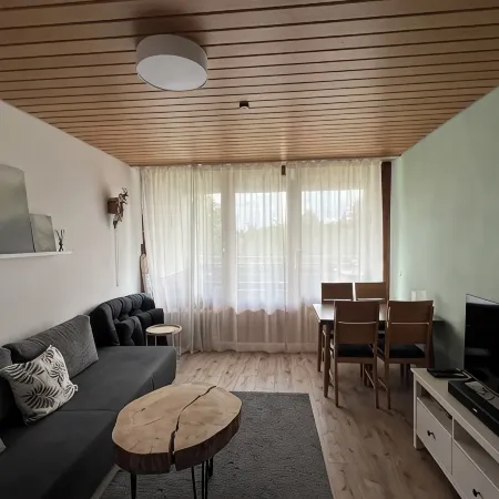 Fichtenblick vacation apartment - a cozy idyll in the heart of the Black Forest