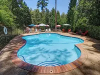 Lakeview Country Cabin ~ Studio w/ 2 Queen Beds