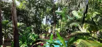 New! Villas 2ch forest, sea view, air conditioning, very quiet pool for 2 to 4 people