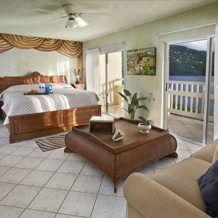 Magens Bay Super Villa! 2026-27 Specials: 1or2 Nts Free 3Pools, Beach, 36' Boat!