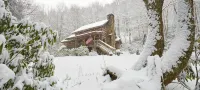 Sleepy Creek-Antique Log Cabin/4 Acre/Bold Stream/Near Boone and BR Pkwy/Firepit