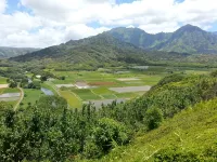 Beautiful Romantic Hanalei Honeymoon Vacation Rental Steps/Beach TVNC 1280 - บูติค