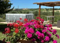 Milva's Nest Countryside - Pools