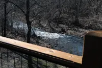 Beautiful secluded cottage with gated privacy. - Alppimaja