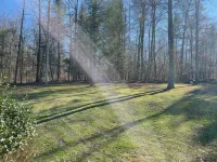 Secluded cabin near South Holston River