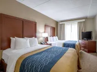 Comfort Inn Indianapolis North - Carmel Hotels in Carmel