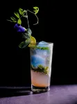 Hotel Surya, Kaiser Palace - Quầy bar