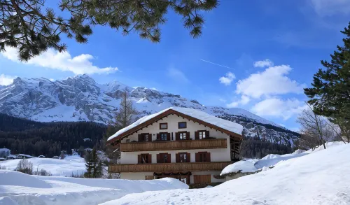 Hotel Menardi - Haustierfreundliche