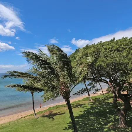 Ocean views at Kealia Resort on Sugar Beach!