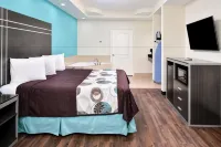 Americas Best Value Inn and Suites Spring/North Houston - Motels