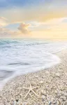 Gulf-Front: Dreamy Views, Renovated, Steps from Beach - 4-Star