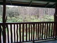 Aloha Crater Lodge - Scenic
