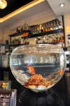 Hotel Imperial - bars