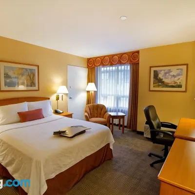 Hampton Inn by Hilton Vancouver-Airport/Richmond Hotels near Bridgeport Skytrain Station